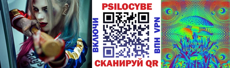 площадка как зайти  Невинномысск  Псилоцибиновые грибы GOLDEN TEACHER 